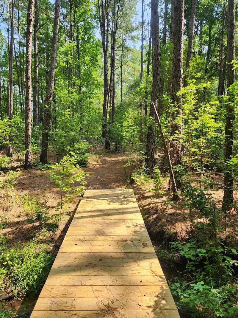 Sandy Trails And Hidden Sinkholes