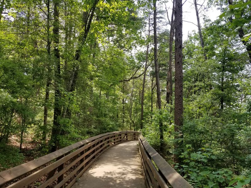 People Live In Alabama For Years And Still Miss These 9 Enchanting Places - Decor Hint Little River Canyon Falls Park, Fort Payne