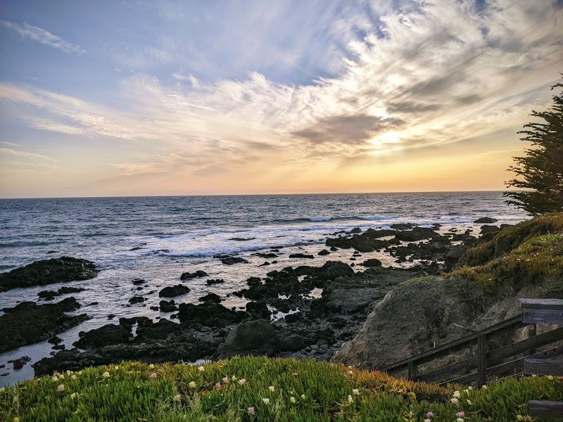 Cambria, Pine Forest Above The Tide Pools