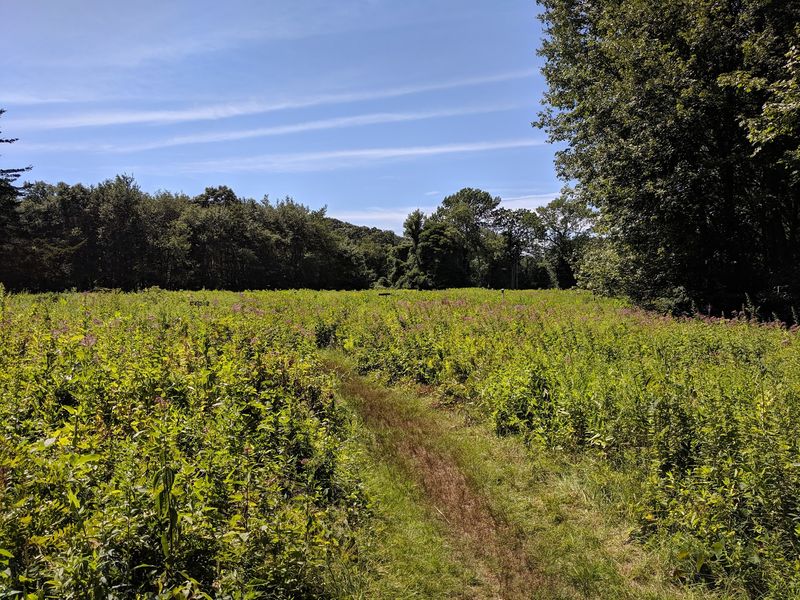 Meadow Loop At Denison Pequotsepos Nature Center, Mystic