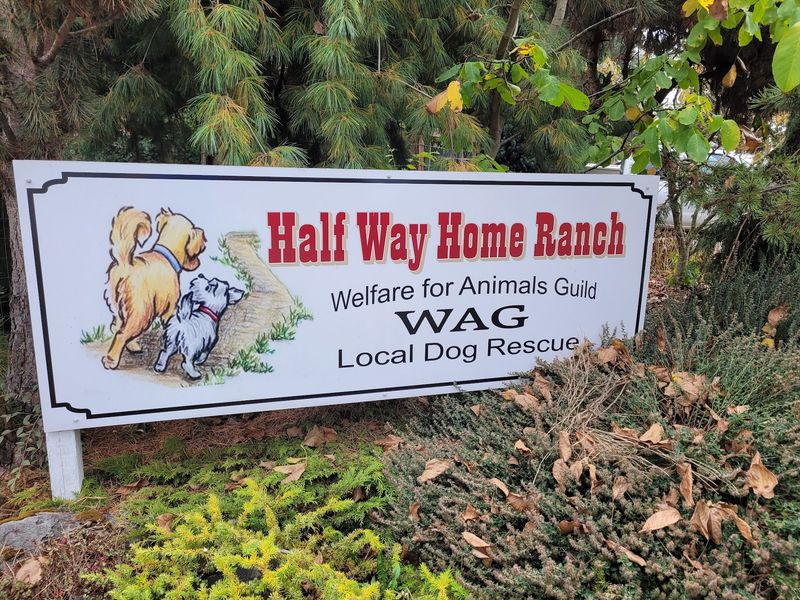 Welfare For Animals Guild (WAG) Halfway Home Ranch, Sequim