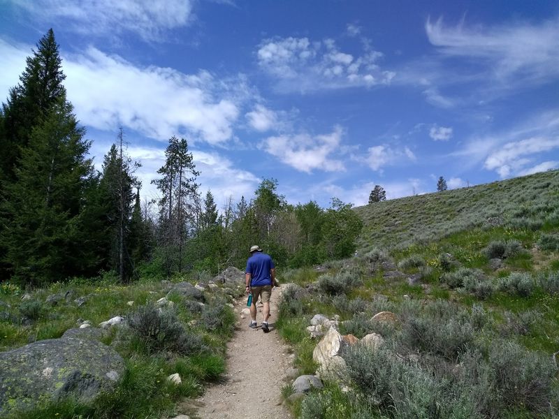 10 Idaho Hikes Where You'll Probably See More Wildlife Than People - Decor Hint Boulder Mountains Trail (Near Fishhook Creek), Ketchum