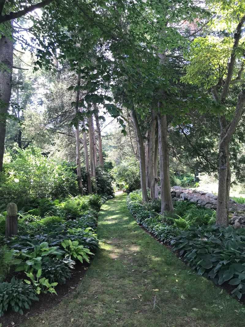 The Sensory Garden Welcomes Wheelchairs And Walkers