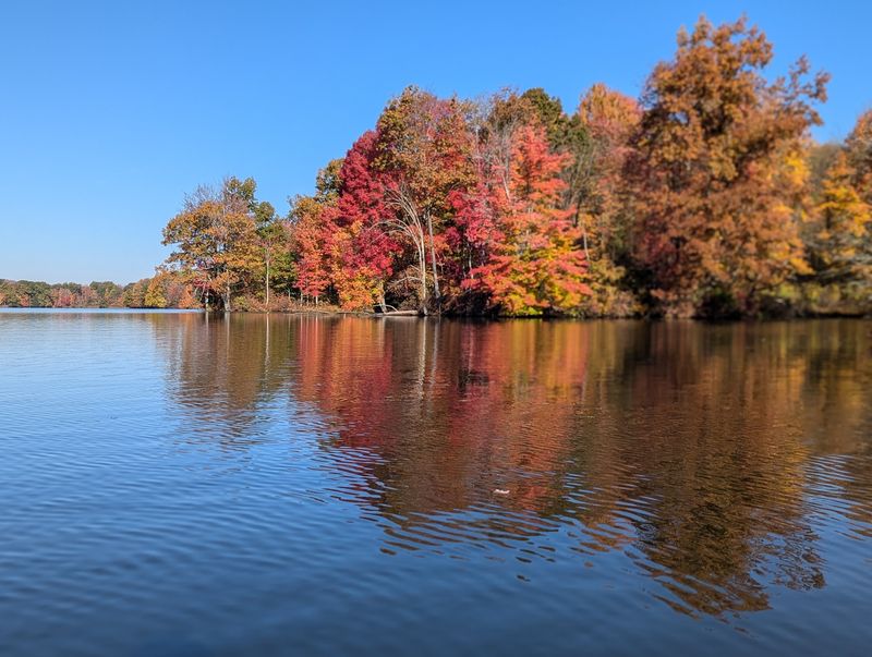 10 Quiet Lakes in Pennsylvania That Are Perfect For A Weekend Escape - Decor Hint Maurice K. Goddard State Park