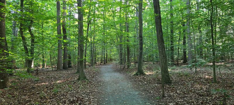 Forget The Beach For A Day And Explore These 8 Delaware Trails Instead - Decor Hint Fork Branch Nature Preserve, Dover