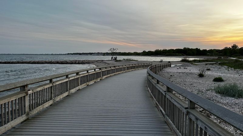 Shorebirds Add Plenty To Watch Along The Way