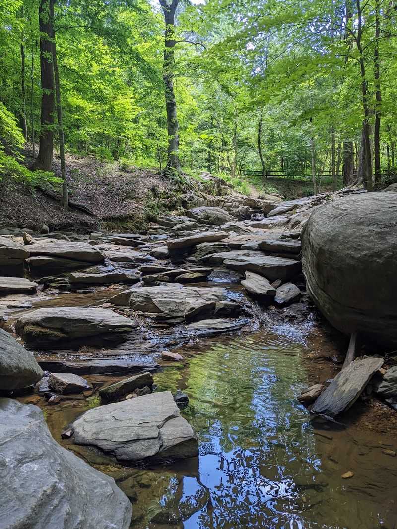 Dunwoody Nature Center, Dunwoody
