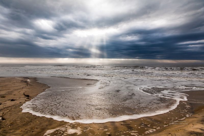 This North Carolina Beach Is One Of The Few Places You Can Hunt For Ancient Sea Biscuits - Decor Hint Look Closely After Rough Surf Brings New Treasures Ashore