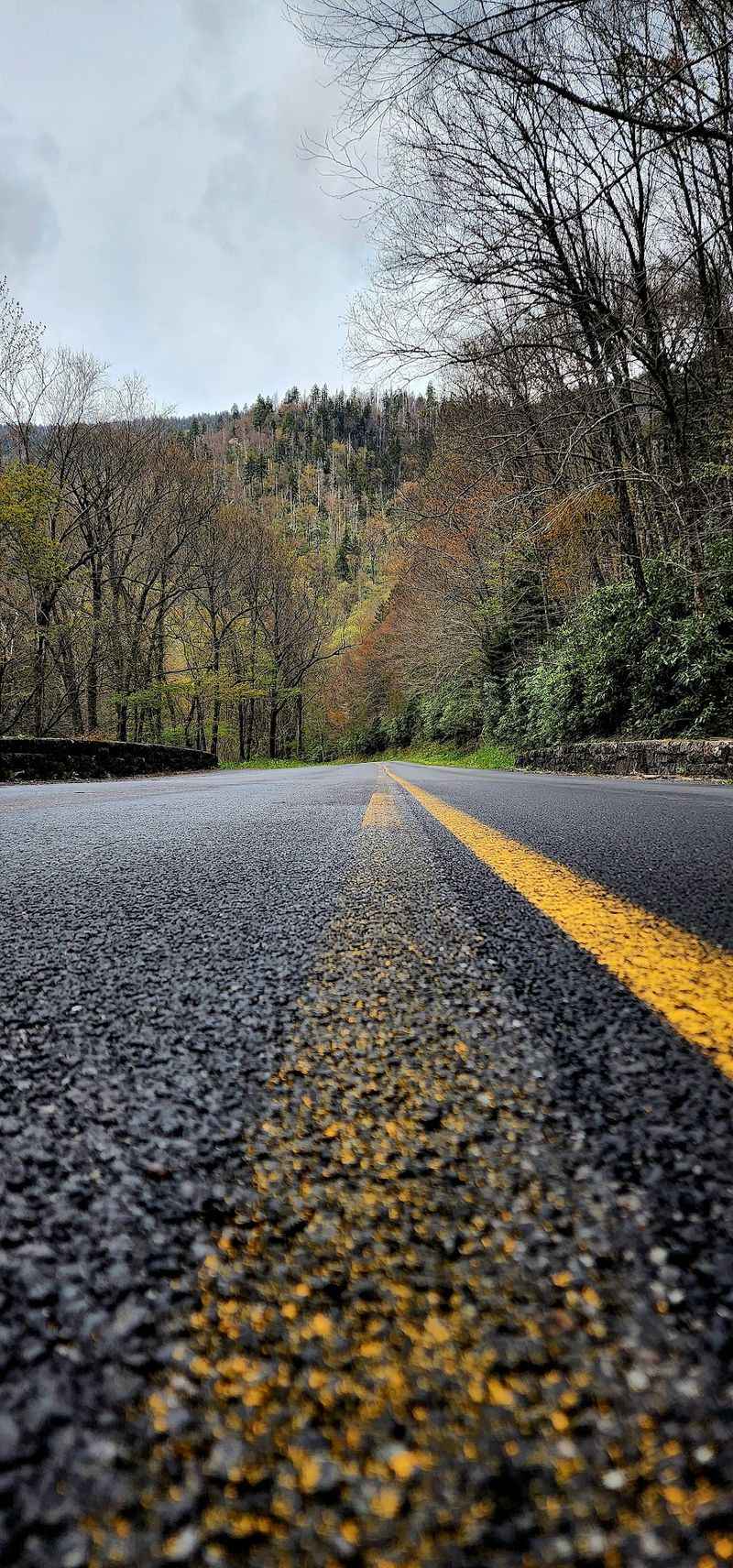Newfound Gap Road, Cherokee To Great Smoky Mountains National Park