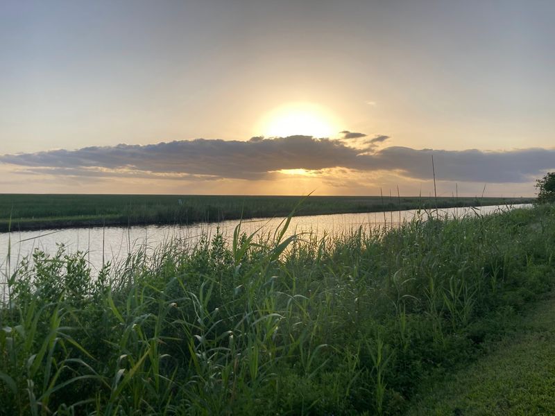 10 Louisiana Day Trips Featuring Swamp Boardwalks And Cajun Food Stops - Decor Hint Sabine National Wildlife Refuge, Hackberry