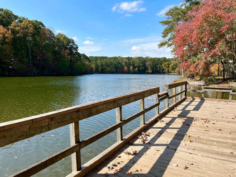 This Storybook Georgia Town Feels Like The Setting Of A Hallmark Movie - Decor Hint Turner Lake And The Cricket Frog Trail