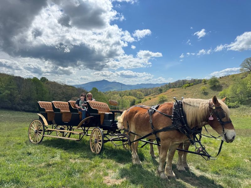 This 2-Hour Carriage Ride Might Be North Carolina’s Most Unexpected Mountain Adventure - Decor Hint Bring A Date Family Member Or Small Group For A Slower Kind Of Mountain Outing