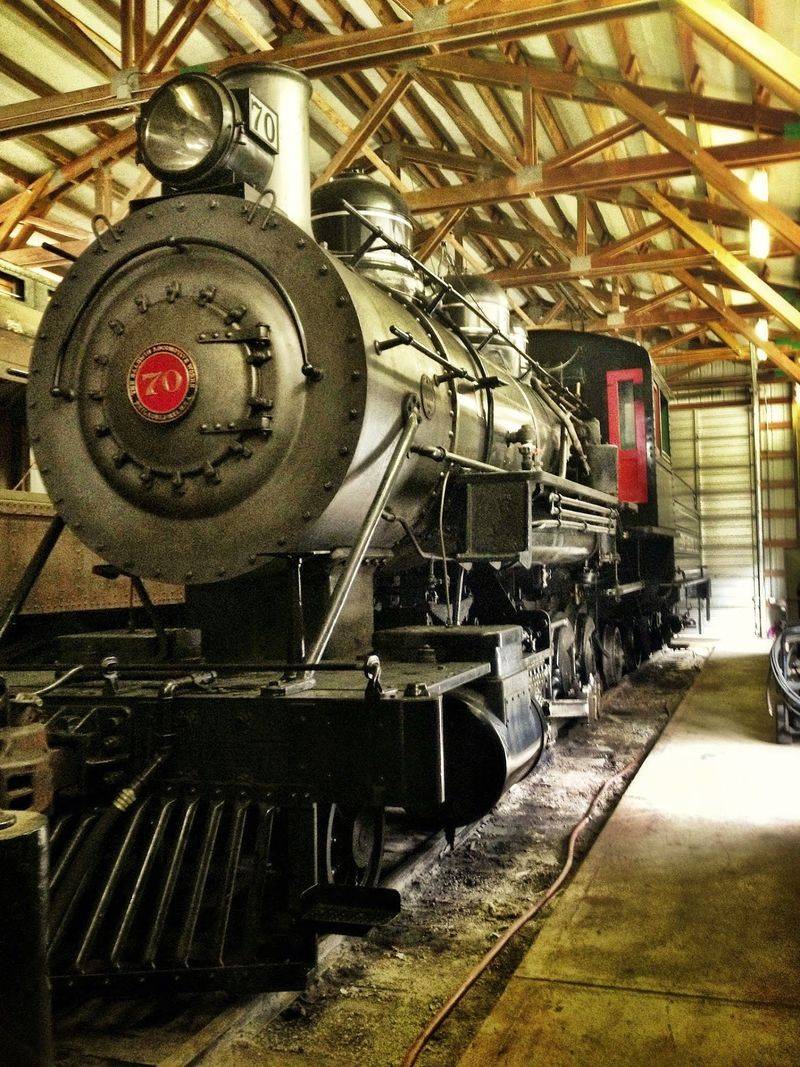 Take An Unforgettable Open-Air Train Ride Through Washington - Decor Hint Smart Tips Before Boarding