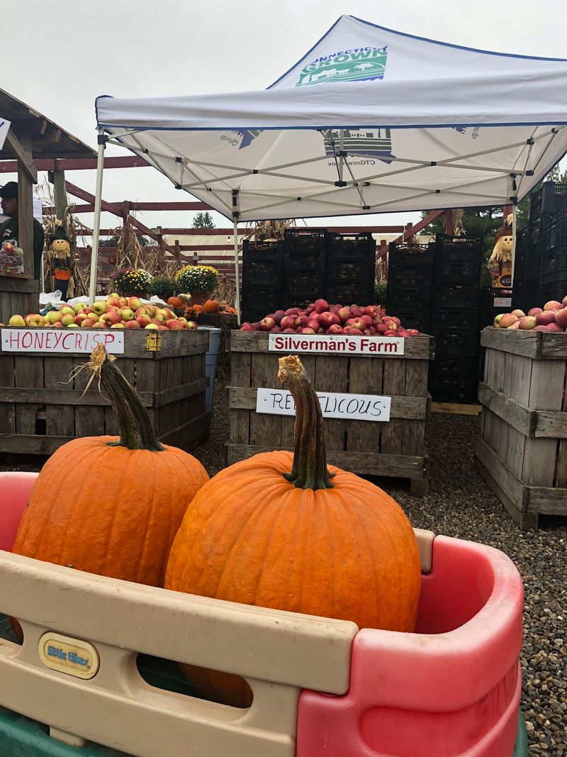 Fall Weekends Feel Especially Lively Here
