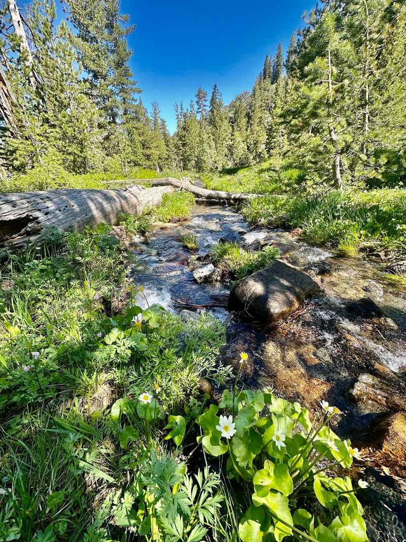 Deadfall Lakes And Mount Eddy, Near Mount Shasta