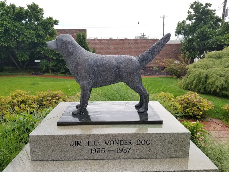 Jim The Wonder Dog Museum, Marshall
