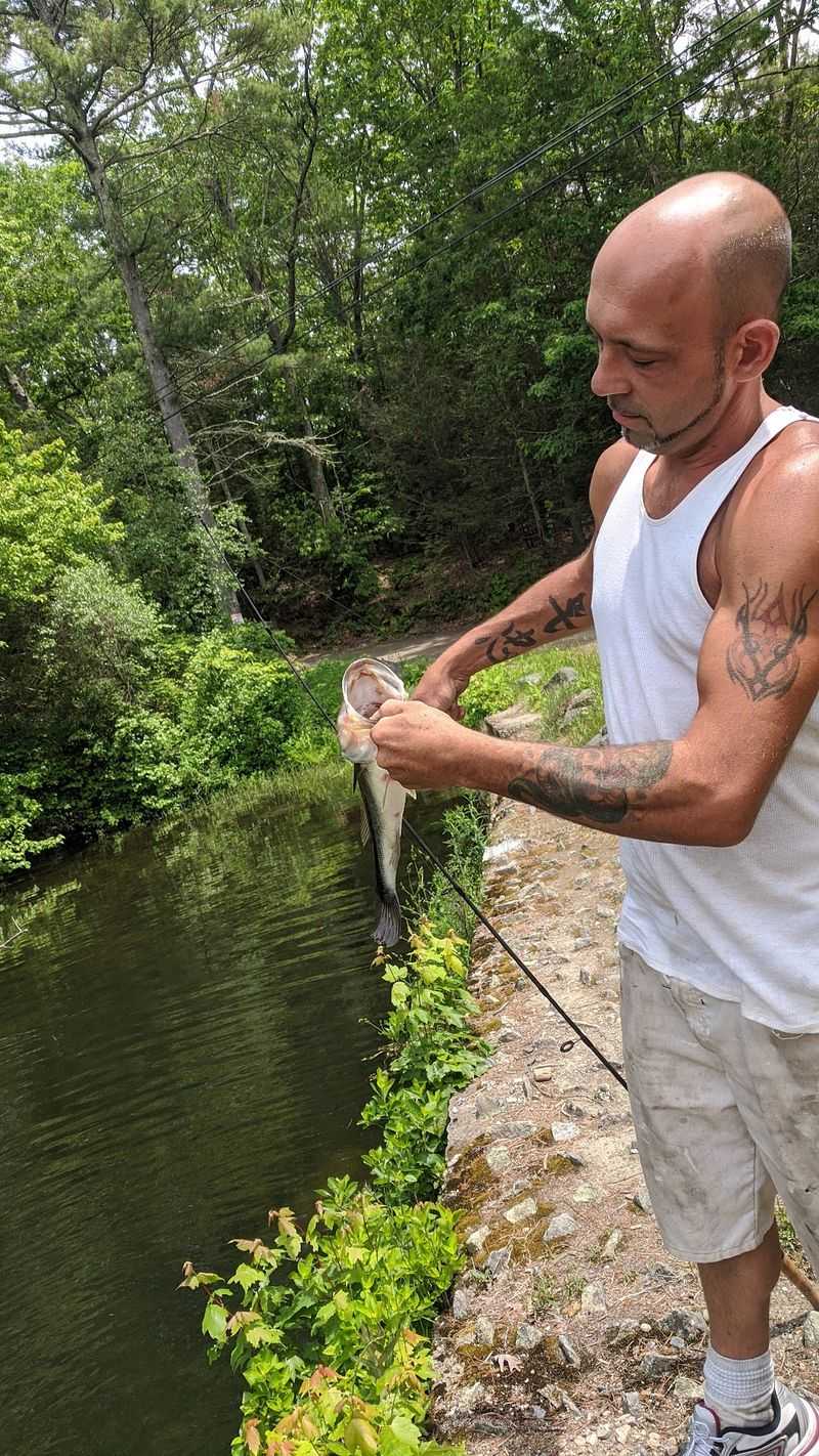 Fishing Here Follows Its Own Clock