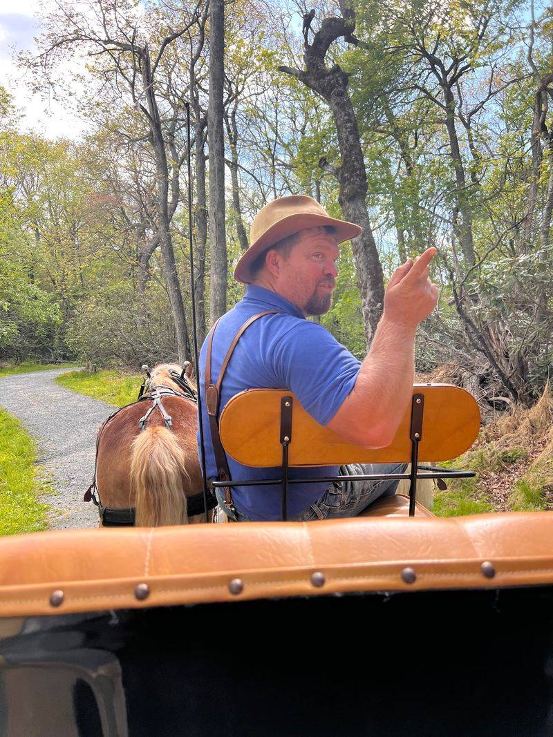 This 2-Hour Carriage Ride Might Be North Carolina’s Most Unexpected Mountain Adventure - Decor Hint Travel Historic Carriage Roads Inside The Moses H. Cone Memorial Park