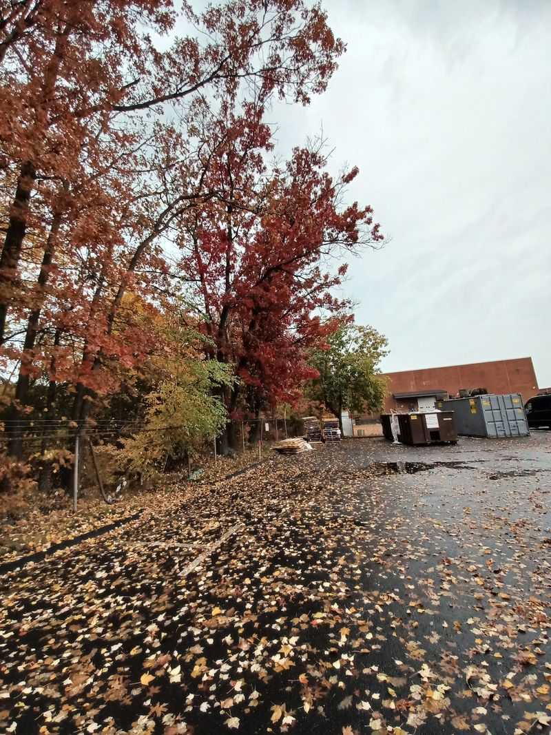 This Connecticut City Just Broke A 54-Year Summer Rainfall Record With More Than 21 Inches Of Rain - Decor Hint The Official Weather Station Behind The Record