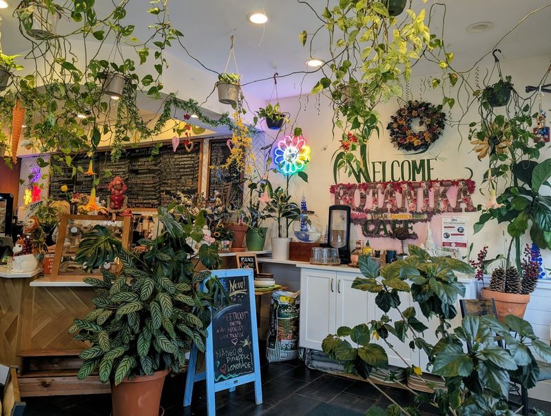 Greenery Gives The Interior A Relaxed Garden Feel