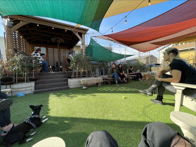 The Dog Park Is Actually Part Of The Cafe