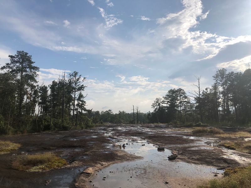 Arabia Mountain PATH, Stonecrest