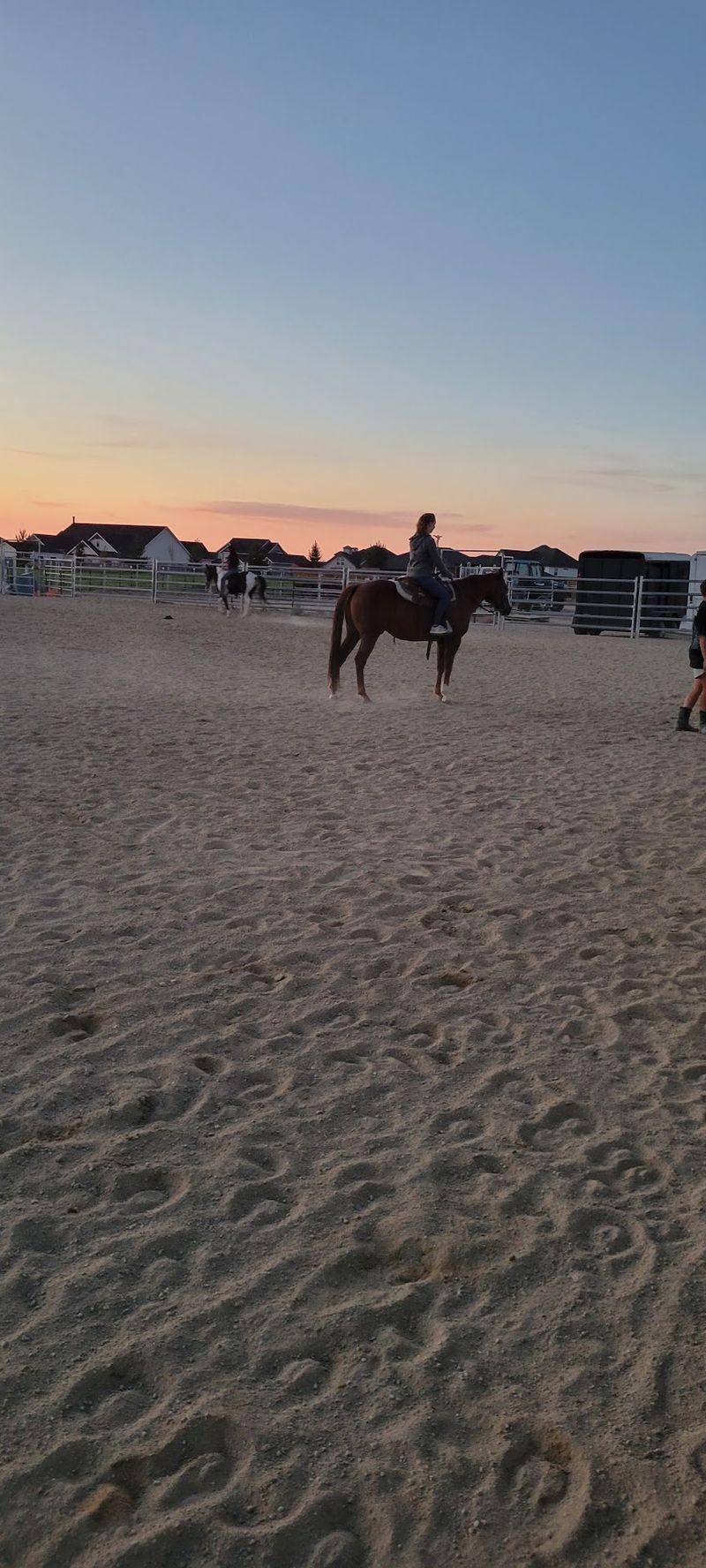 Leave With A Lot More Confidence Around Horses Than You Arrived With