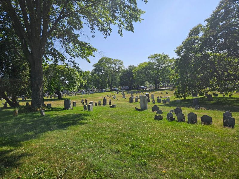 God's Little Acre, Newport