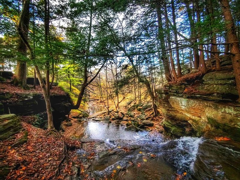 Honey Run Waterfall, Howard