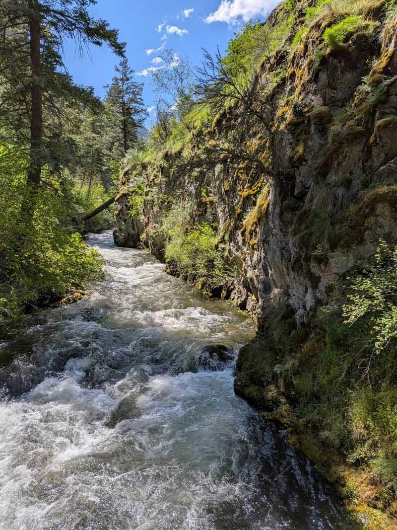 The Rapid River Stays Beside You With Clear Water And Constant Motion