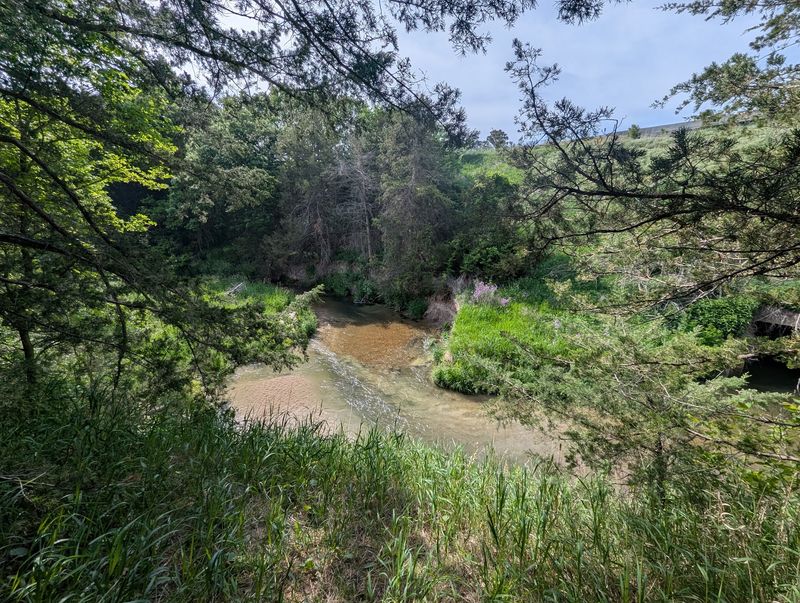 Find A Quiet Creekside Spot Beneath The Trees
