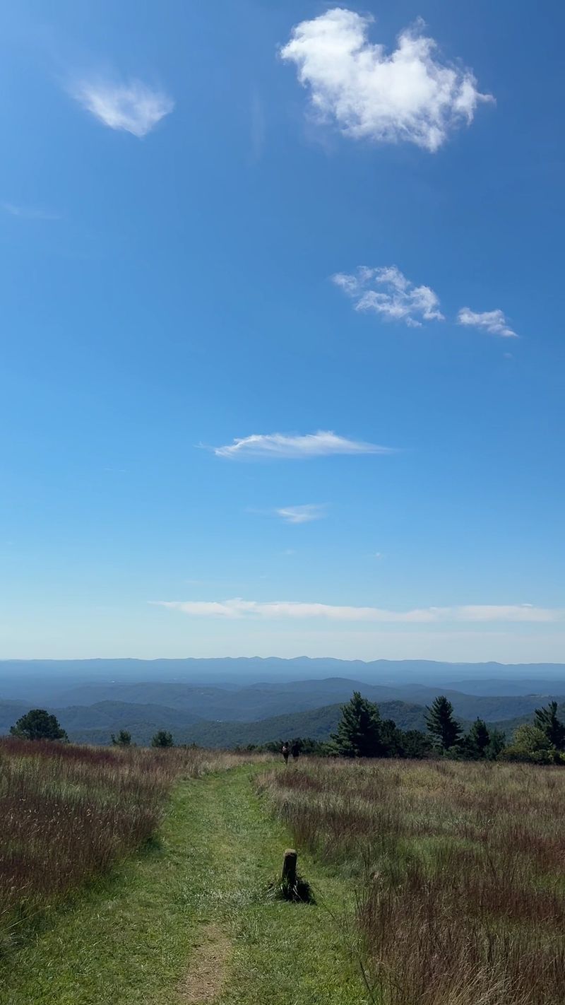 These 9 North Carolina Hiking Trails Locals Skip In August But Return To In September - Decor Hint Bluff Mountain Trail, Doughton Park