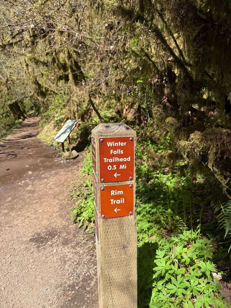 South Hills, Walstrom Hollow And Ross Falls