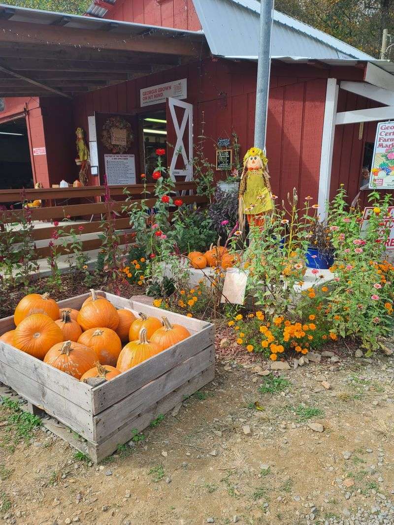 Timing Your Visit Around Pumpkins And Seasons