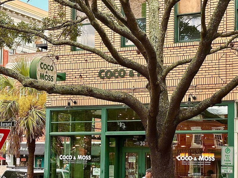 Coco And Moss, Savannah