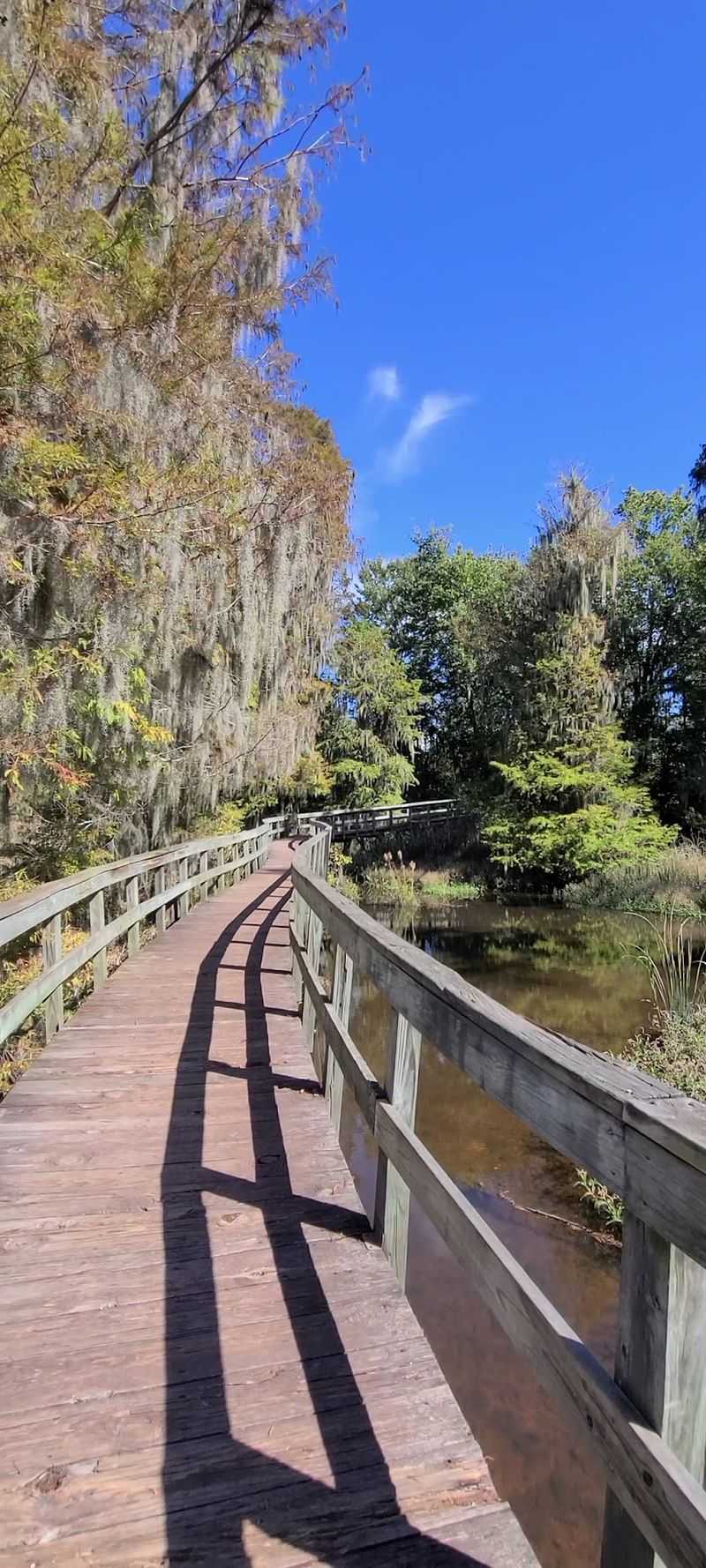 Phinizy Swamp Nature Park, Augusta