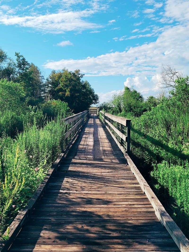 10 Louisiana Day Trips Featuring Swamp Boardwalks And Cajun Food Stops - Decor Hint Bayou Sauvage Ridge Trail & Boardwalk, New Orleans
