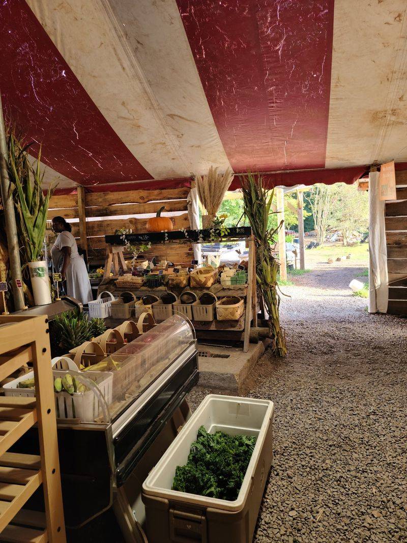 Atlanta Harvest, Ellenwood