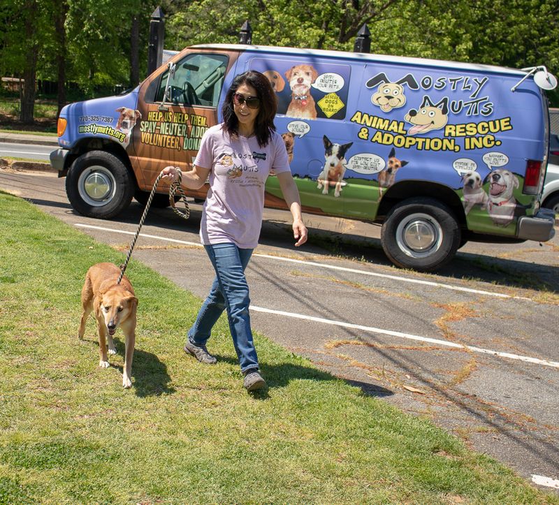 Mostly Mutts Animal Rescue