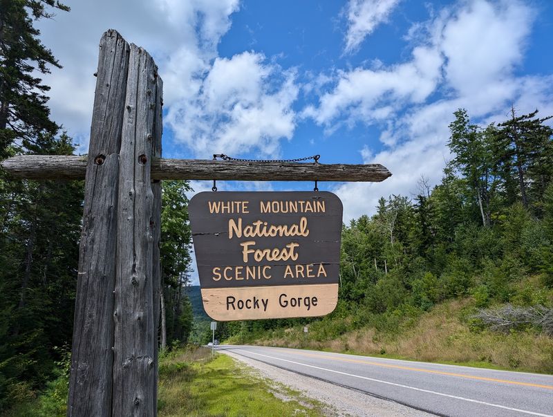 Rocky Gorge Scenic Area, Albany