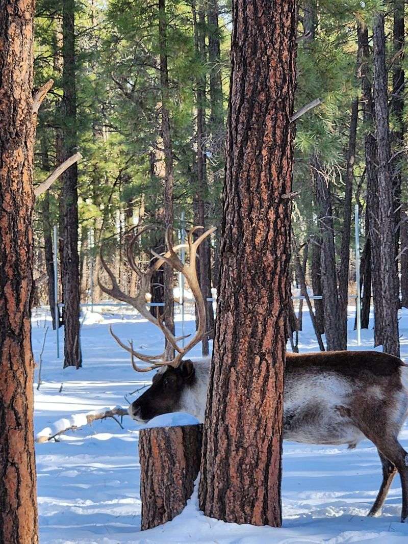 Seasonal Events That Keep Things Fresh