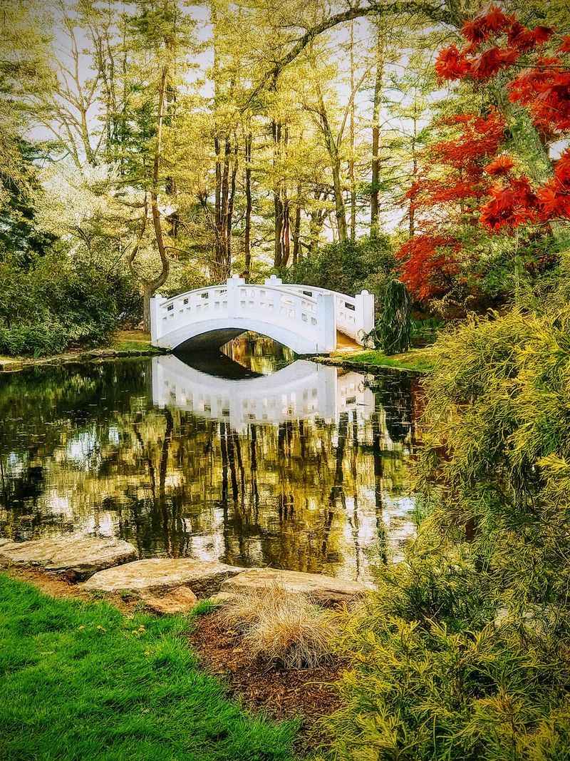 Wickham Park, Manchester 