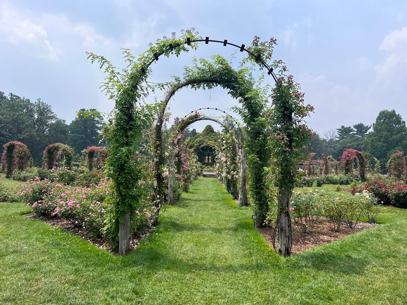 Elizabeth Park, West Hartford
