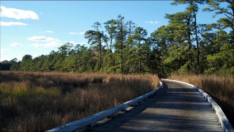 This Tiny North Carolina Town Might Have The Funniest Name In The State - Decor Hint Follow The Backroads Through The Rural Uwharrie Countryside