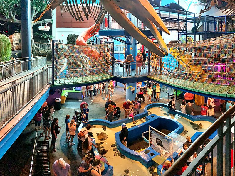 Ripley's Aquarium of the Smokies, Gatlinburg