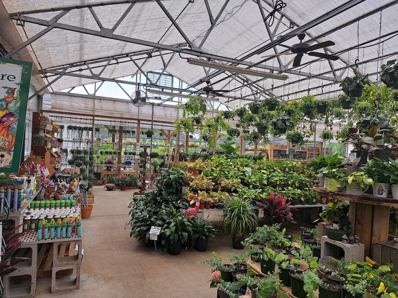 Good Earth Produce And Garden Center, Augusta