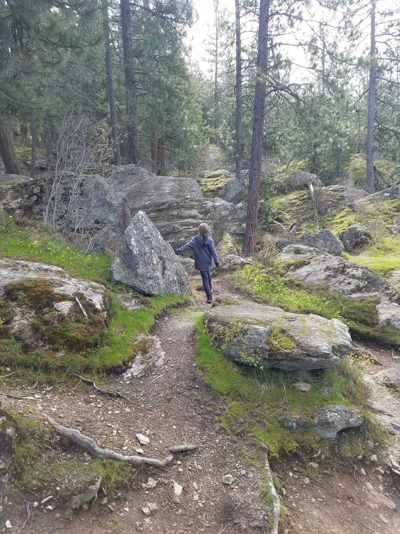 Gateway To Tubbs Hill Trails