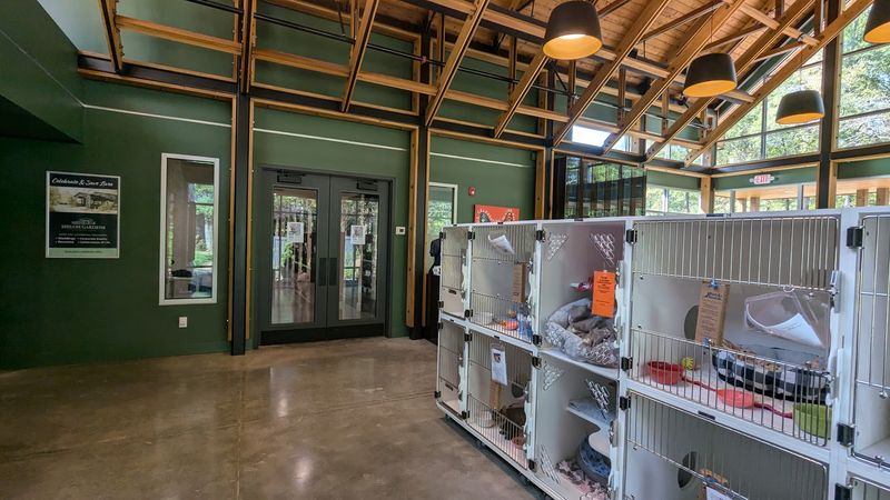 An Onsite Medical Facility With Real Veterinarians