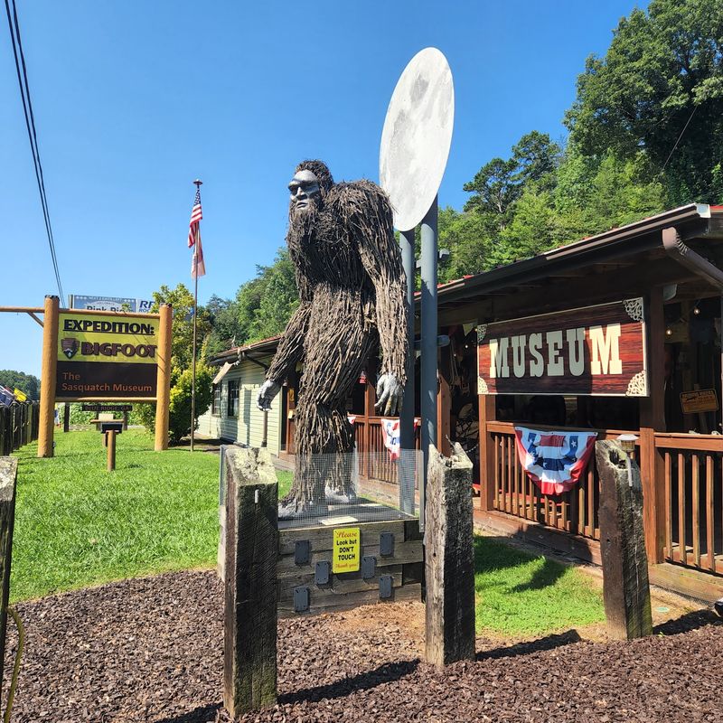 9 Creepy Attractions In Georgia That Visitors Rarely Discover - Decor Hint EXPEDITION:BIGFOOT! The Sasquatch Museum, Blue Ridge