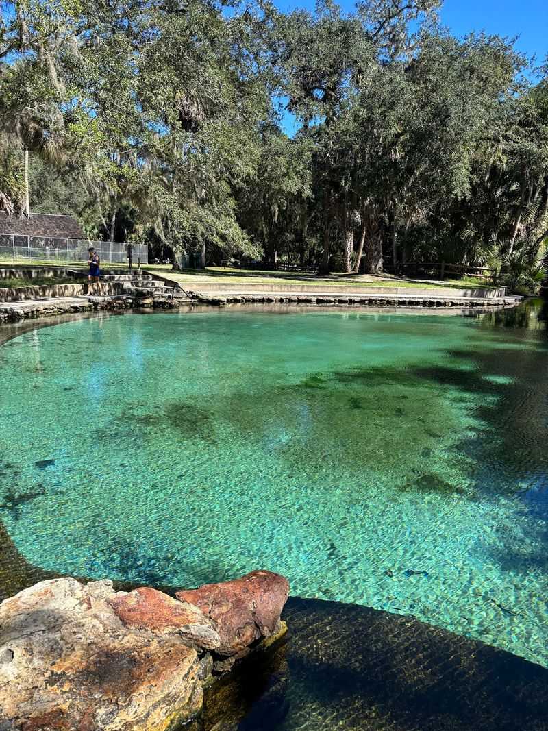 10 Self-Drive Day Trips Around Orlando, Florida Worth Taking - Decor Hint Ocala National Forest, Silver Springs